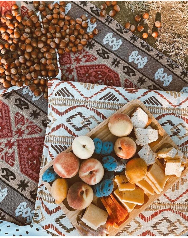 Mestvireni تأيلافي المظهر الخارجي الصورة